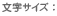 文字サイズ