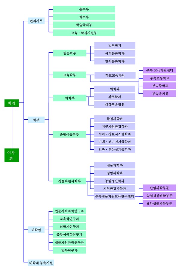 대학 운영 조직도