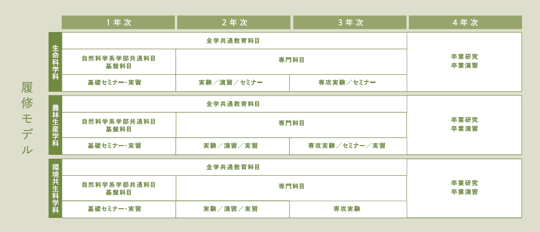 カリキュラム 国立大学法人 島根大学 カリキュラム 国立大学法人 島根大学