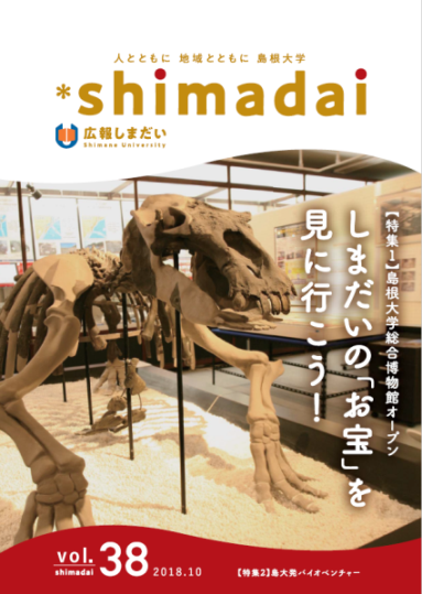 広報しまだい38号
