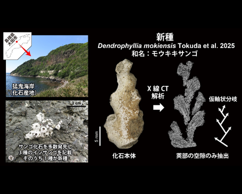 総合理工学部・林教授研究成果