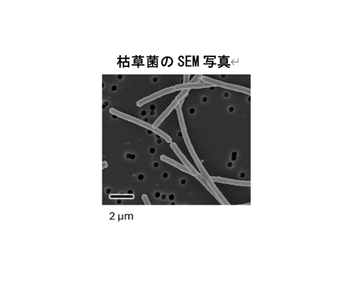 生物資源科学部・石田准教授　研究成果