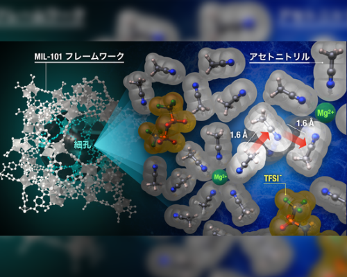 材料エネルギー学部・大政 特任助教　研究成果