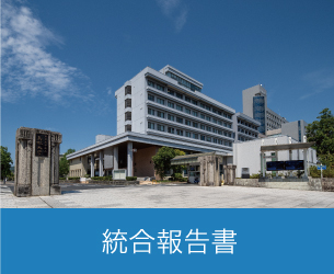 総合報告書