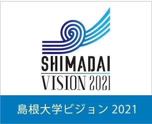 ビジョンと戦略