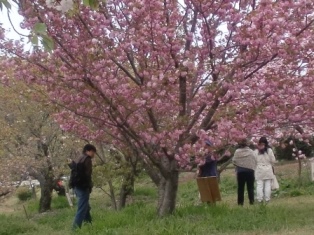 春の農場一日開放日写真１.jpg