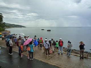 小田海岸