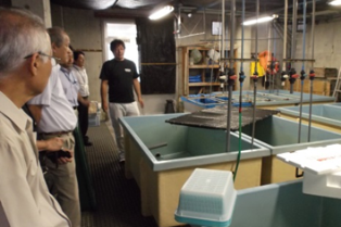 ミッション再定義1