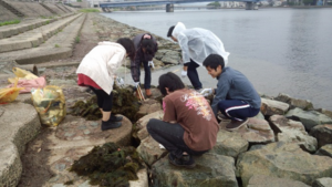 ごみ拾いの様子