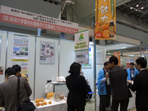 展示ブースの様子