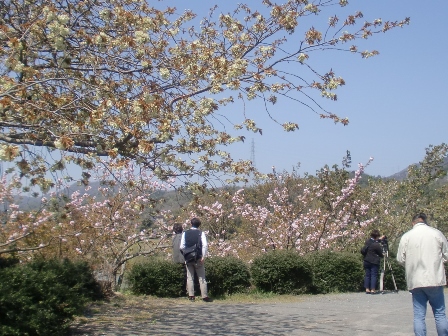 春の農場一日開放日写真１.jpg