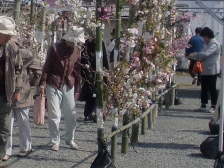 春の農場一日開放日写真１.jpg