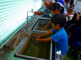 水中選別の様子