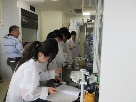 実習の様子