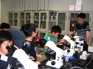 顕微鏡観察の様子