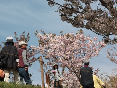 H28春の農場一日開放日写真１.jpg