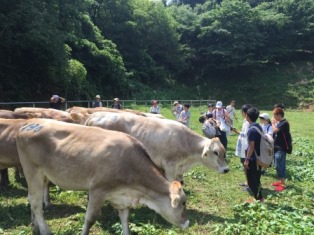 「農と職と経済」2016-0807大石牧場