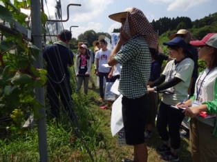 「農と食と経済」2016-0807葡萄園