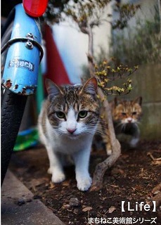 まちねこ美術館