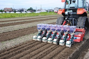 大型播種機での密植播種		