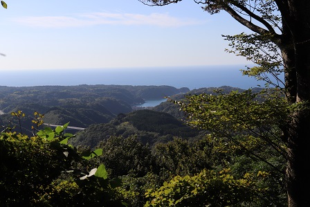 寺から望む温泉津湾