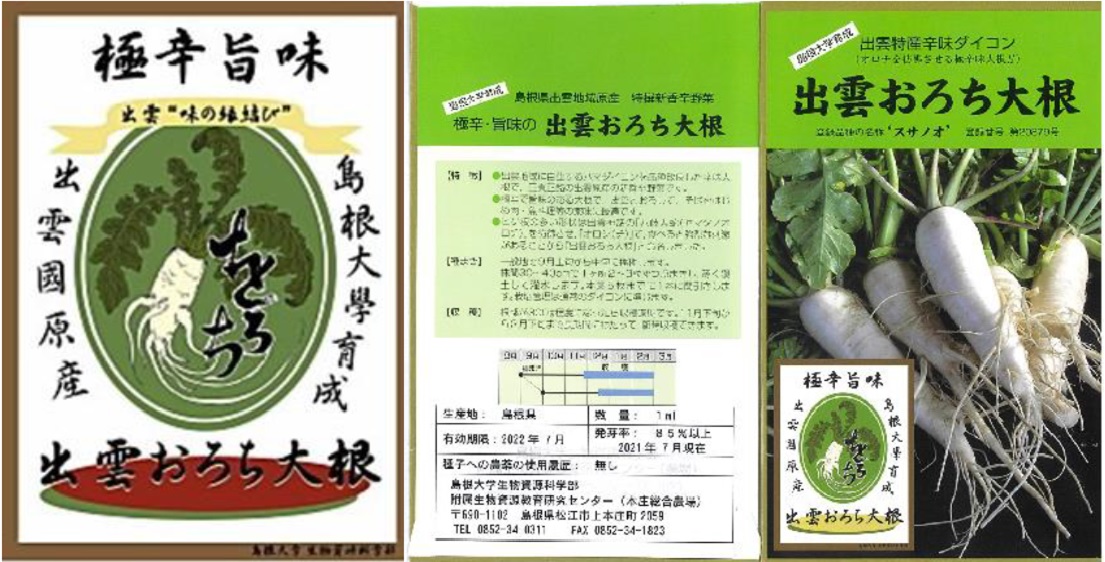出雲おろち大根 登録品種名称 スサノオ の21年秋まき種子の一般普及販売を開始します 国立大学法人 島根大学