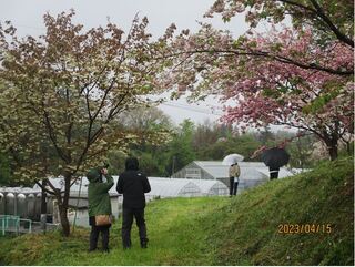 場内を散策する来場者
