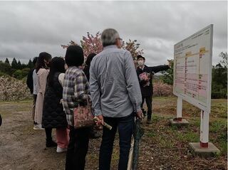 サクラ遺伝資源保存園ツアー