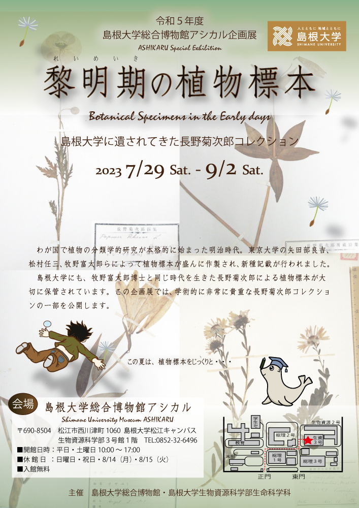 アシカル企画展「黎明期の植物標本」