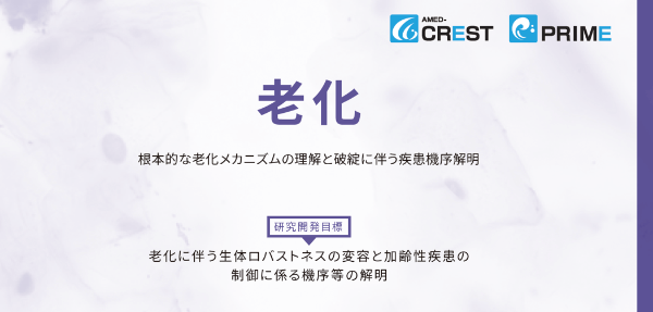 AMED-PRIME画像 AMED-PRIME画像