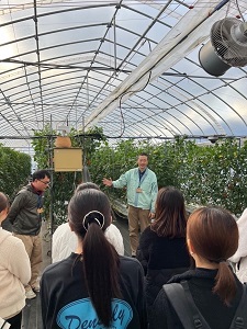 水田での野菜生産課題