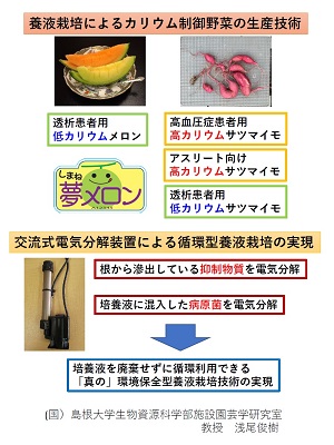 展示内容の概要