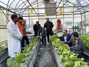 養液栽培システム