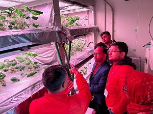 人工光（LED）型養液栽培システム