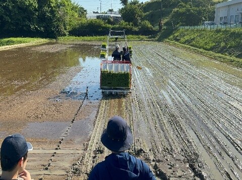 nojo_jisshu_shashin_4 農場実習写真4