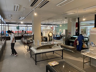 島根大学総合博物館アシカル