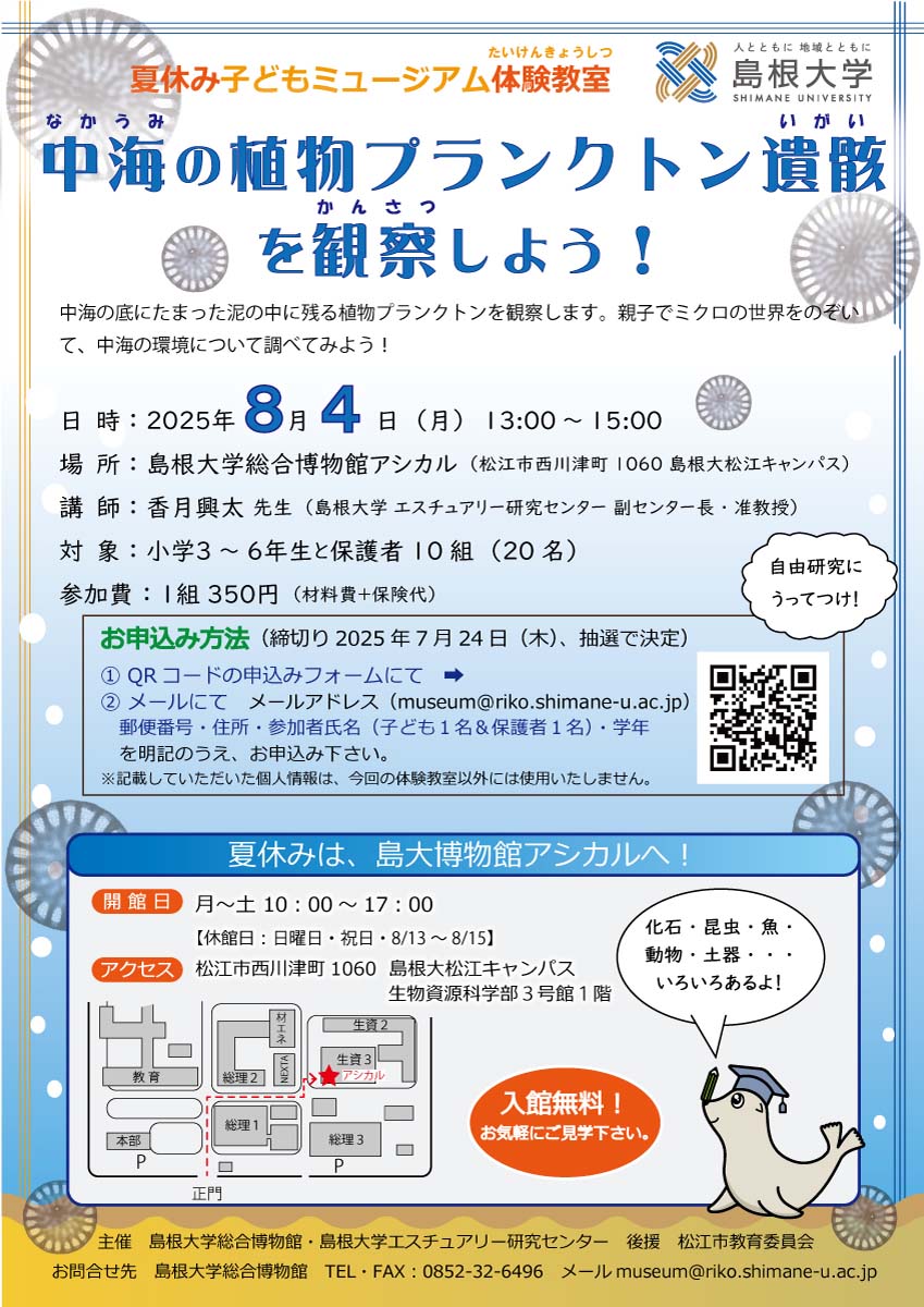 チラシ
