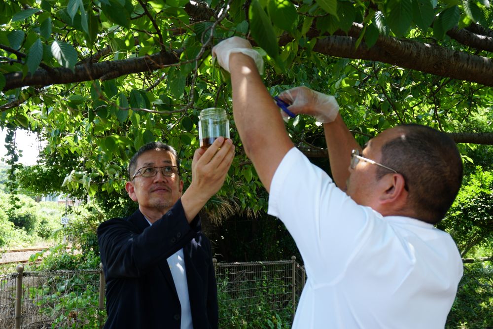 生物資源科学部が株式会社石見麦酒と連携協定を締結しました | 国立