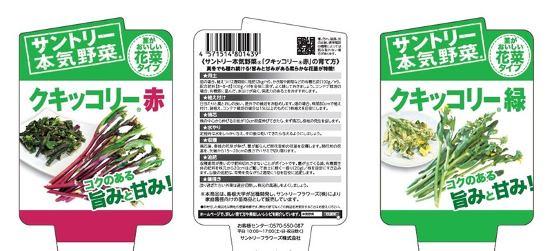 島根大学生物資源科学部育成のナバナ新品種'マゲニマイナ'と