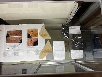 展示の様子2 展示の様子2