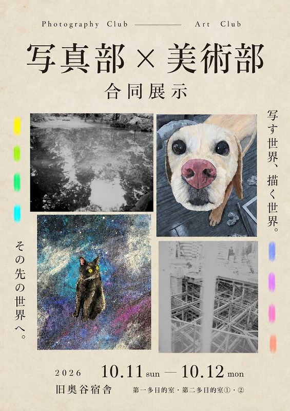 chirashi 展示会チラシ