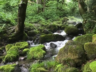 06森林の水質形成