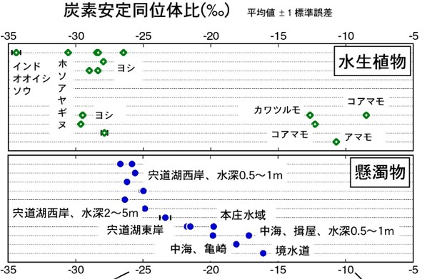 11汽水域の複雑な食物連鎖