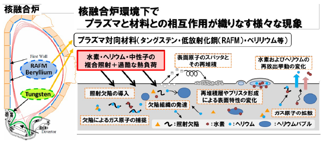 核融合炉におけるプラズマと壁材料との相互作用に関する研究