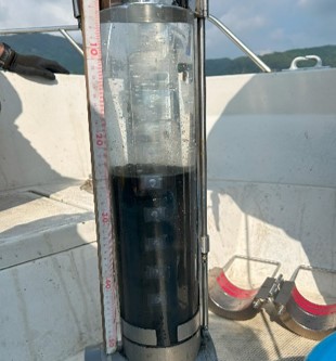 sc-59.水圏におけるケイ素の新たな循環モデル構築