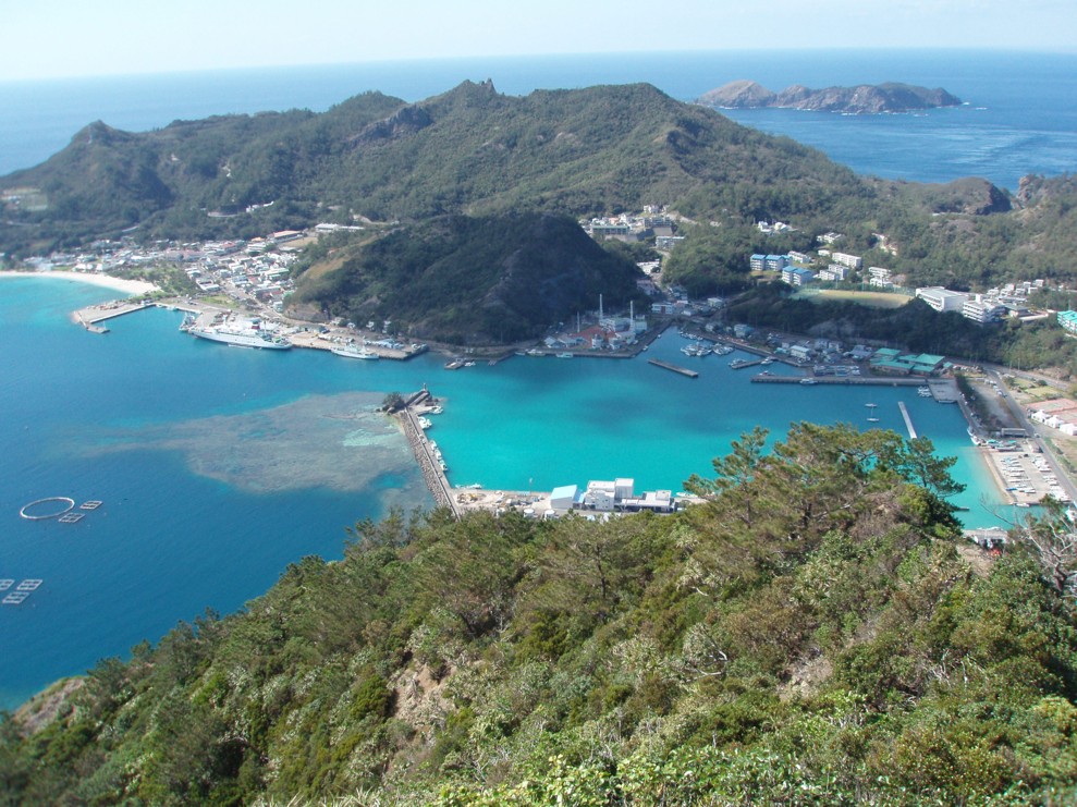 en-65_ 島嶼地域における植物種の多様化の解明