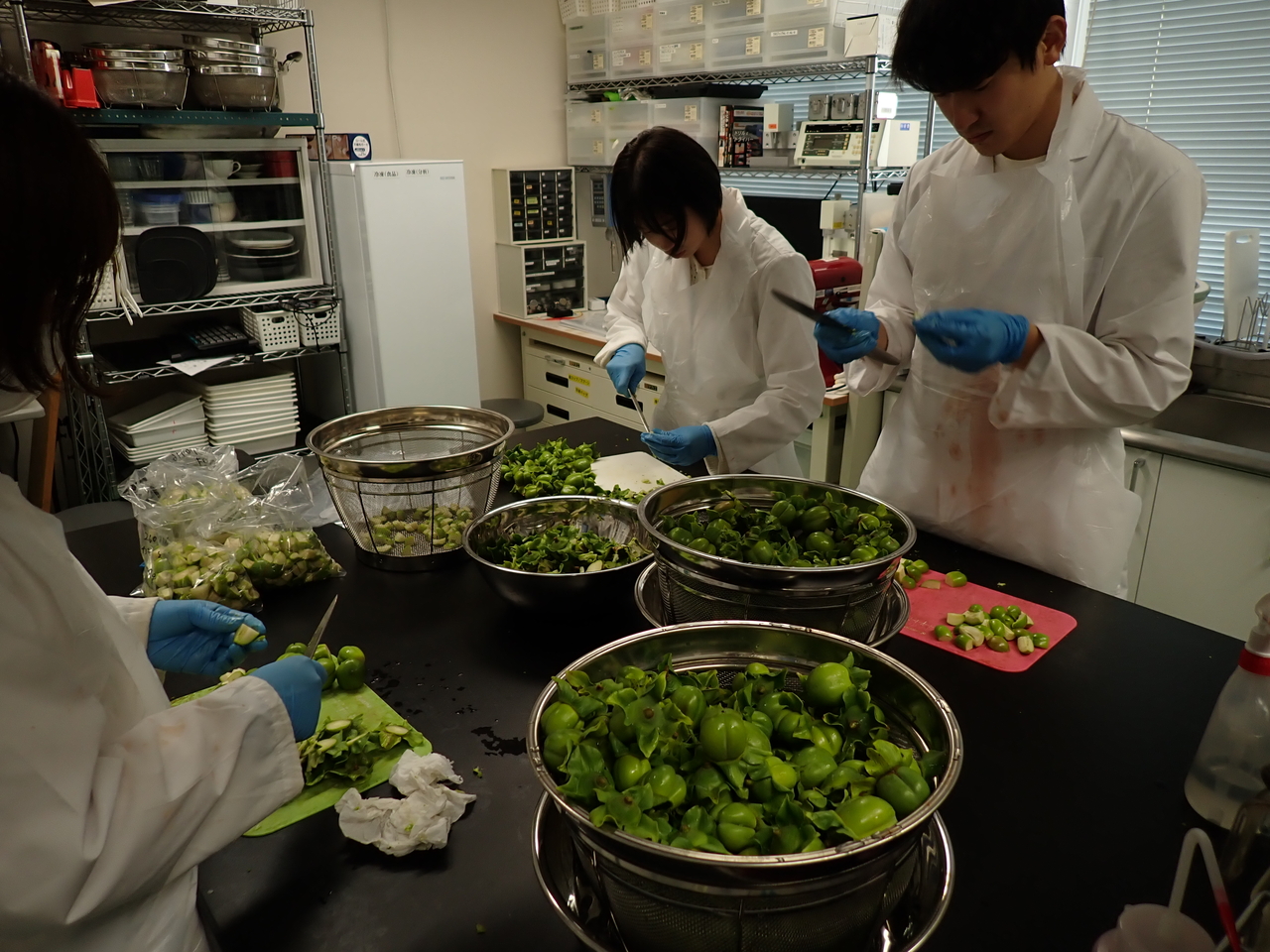 未利用資源を活用した衣・食分野のヘルスケア製品の開発：人間科学部　教授　鶴永 陽子
