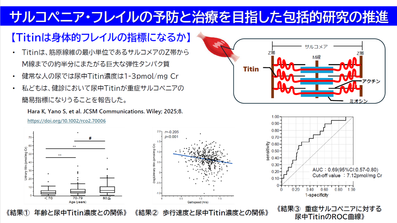 サルコペニア・フレイルの予防と治療を目指した包括的研究の推進：医学部　教授　矢野 彰三