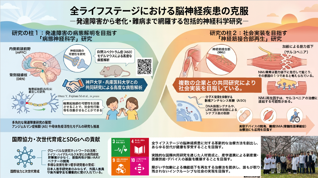 全ライフステージにおける脳神経疾患の克服：発達障害から難病・老化を網羅する包括的神経科学研究の推進：医学部　教授　藤谷 昌司
