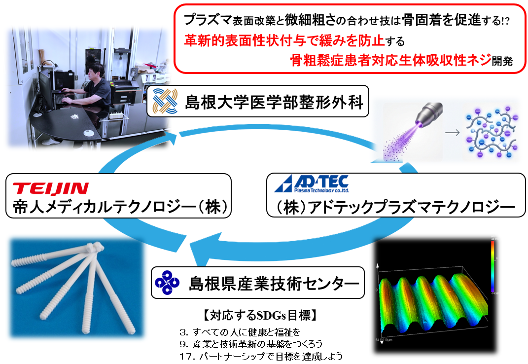 プラズマ表面改築と微細粗さの合わせ技は骨固着を促進する！？ 革新的表面性状付与で緩みを防止する骨粗鬆症患者対応生体吸収性ネジ開発：医学部　講師　今出 真司